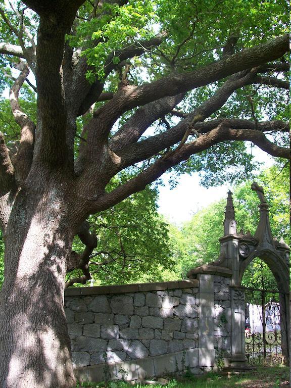 Casona Valle De Soba Regules Kültér fotó